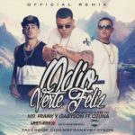 Mr. Frank Y Gabyson Ft Ozuna - Odio Verte Feliz Remix